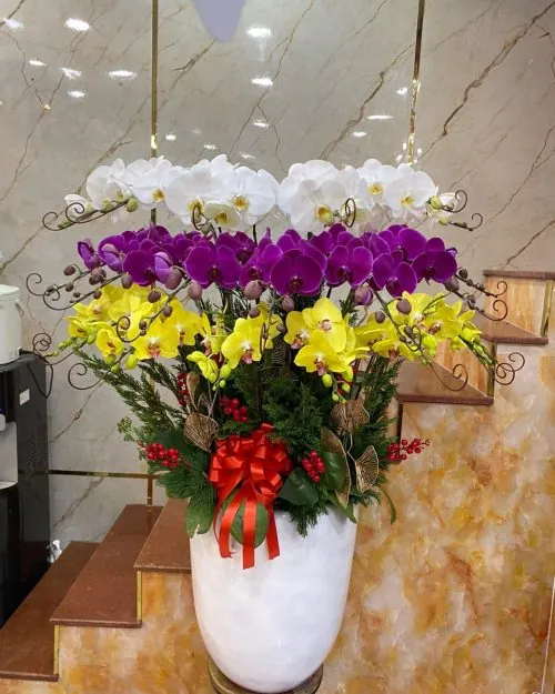 Chậu hoa lan hồ điệp đại sảnh tòa nhà công ty mẫu 607